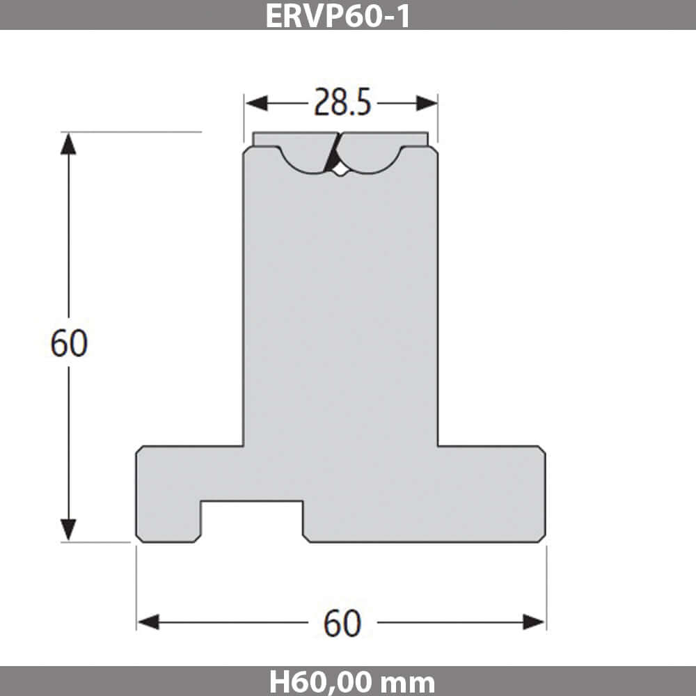 ERVP60-1