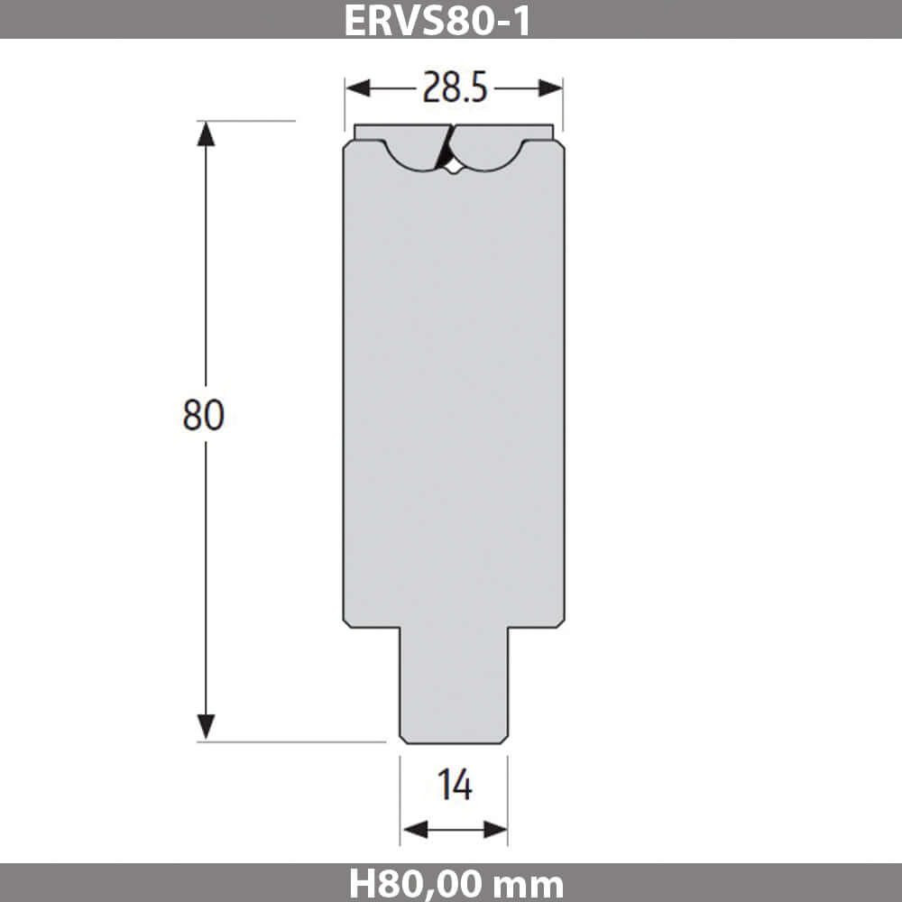 ERVS80-1