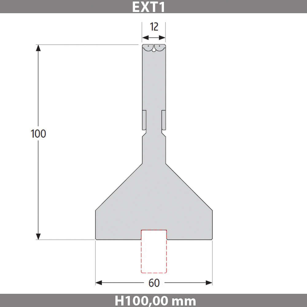 EXT1
